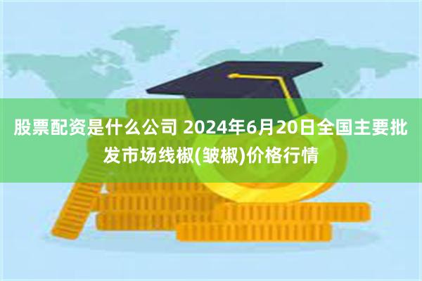 股票配资是什么公司 2024年6月20日全国主要批发市场线椒(皱椒)价格行情