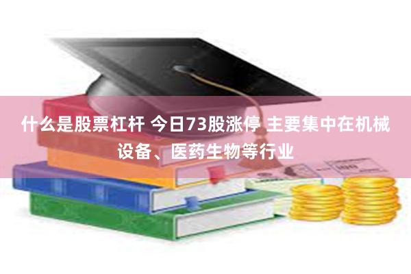 什么是股票杠杆 今日73股涨停 主要集中在机械设备、医药生物等行业