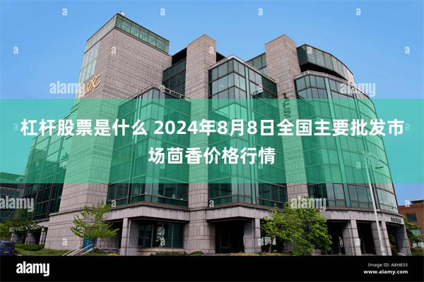 杠杆股票是什么 2024年8月8日全国主要批发市场茴香价格行情