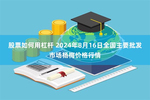 股票如何用杠杆 2024年8月16日全国主要批发市场杨梅价格行情