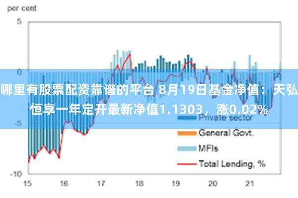 哪里有股票配资靠谱的平台 8月19日基金净值：天弘恒享一年定开最新净值1.1303，涨0.02%