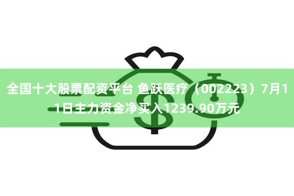 全国十大股票配资平台 鱼跃医疗（002223）7月11日主力资金净买入1239.90万元