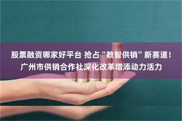 股票融资哪家好平台 抢占“数智供销”新赛道！广州市供销合作社深化改革增添动力活力