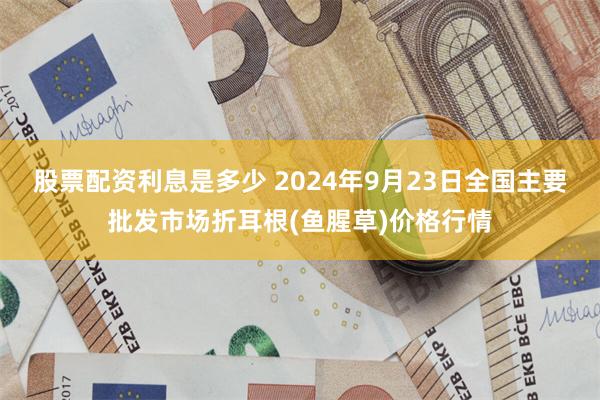 股票配资利息是多少 2024年9月23日全国主要批发市场折耳根(鱼腥草)价格行情