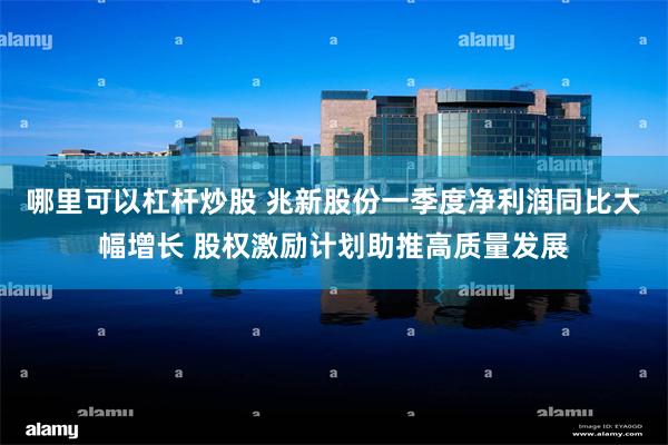 哪里可以杠杆炒股 兆新股份一季度净利润同比大幅增长 股权激励计划助推高质量发展